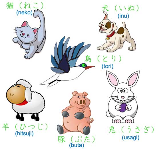 Từ vựng chủ đề con vật trong tiếng Nhật