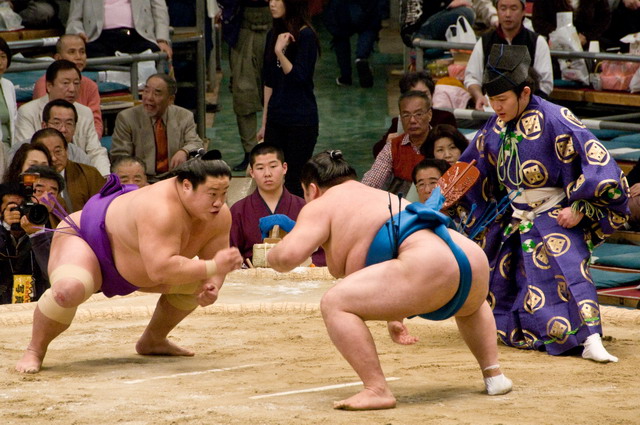 Sumo ở Nhật Bản